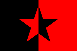 [Another flag attached to the EZLN]